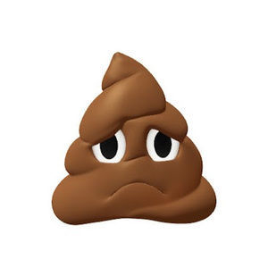 Meet your Posher, Jai